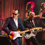 Joe Bonamassa en concert