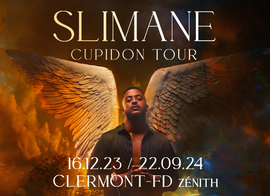Slimane en concert